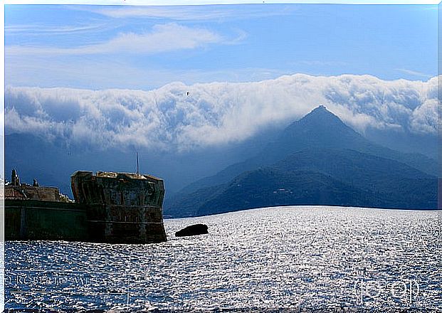 Martello tower on Elba