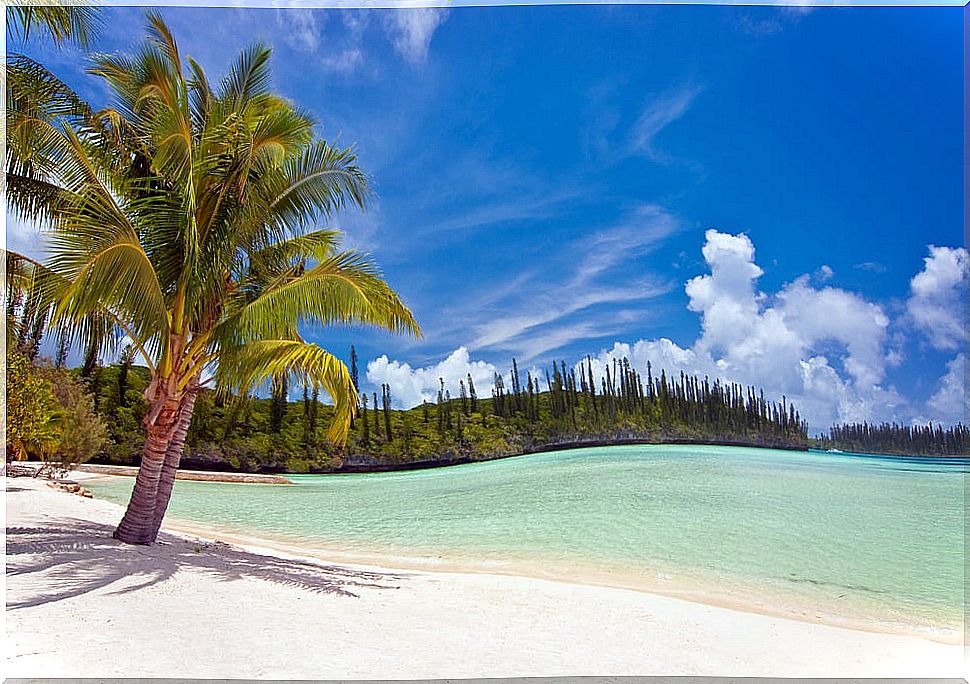 The Isle of Pines in New Caledonia: a world of paradise