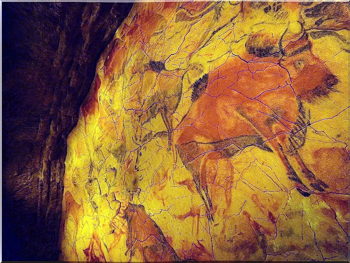 The cave paintings of Altamira are admired for their beauty.