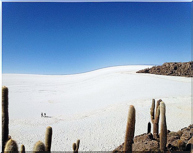 Salar de Uyuni