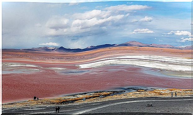 Laguna Colorada in Bolivia