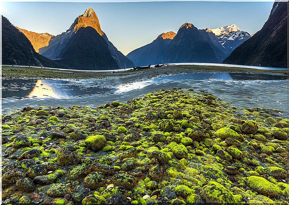 Milford Sound in New Zealand