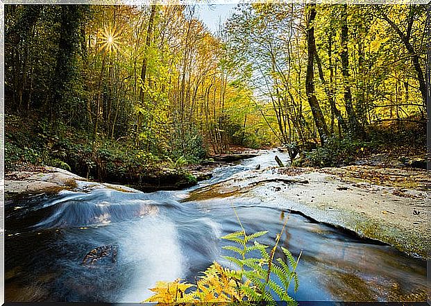 Montseny Natural Park