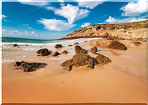 Bolonia beach in Cádiz