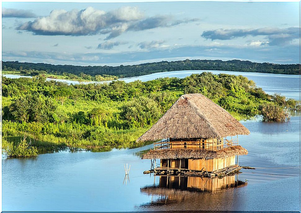 Amazon in Iquitos