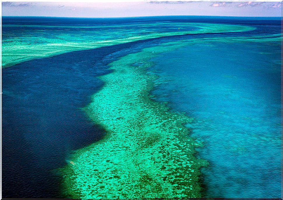 Visit the Great Barrier Reef in Australia