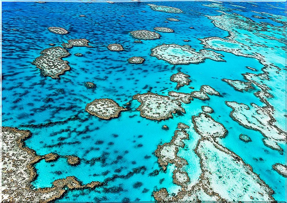 Great Barrier Reef in Australia