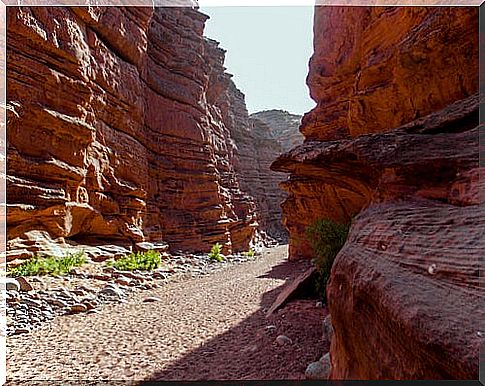 Talampaya Canyon in Argentina