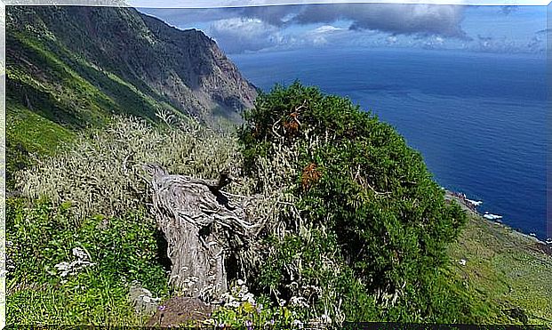 Frontera Rural Park in El Hierro