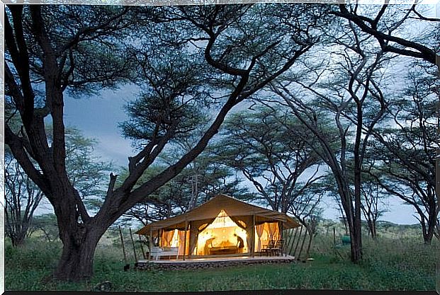 Glamping tent in Kenya