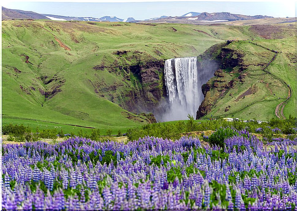 What to visit in Iceland: 7 essential places