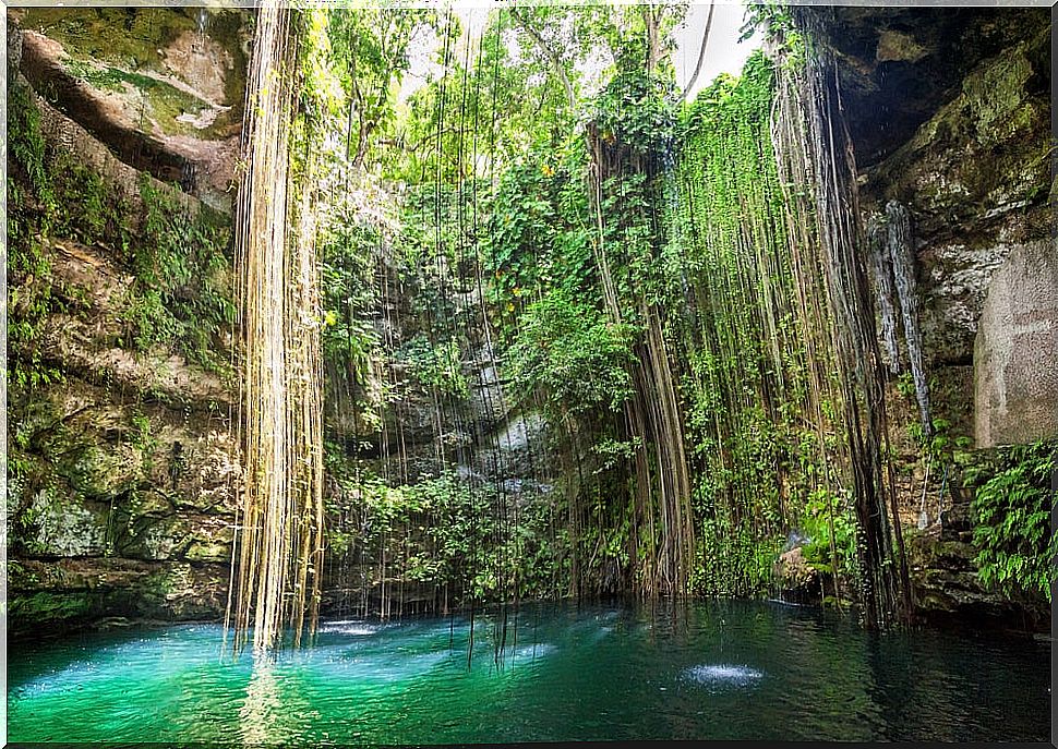 Cenote Ik-Kil in the Riviera Maya