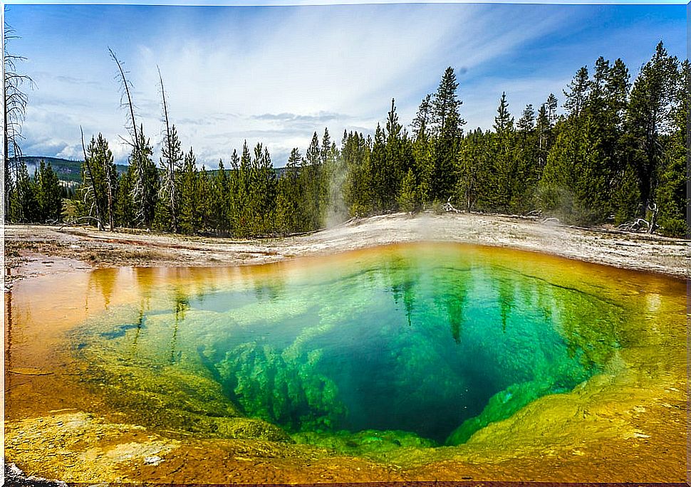 Morning glory pool 