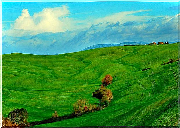 Tuscany in spring