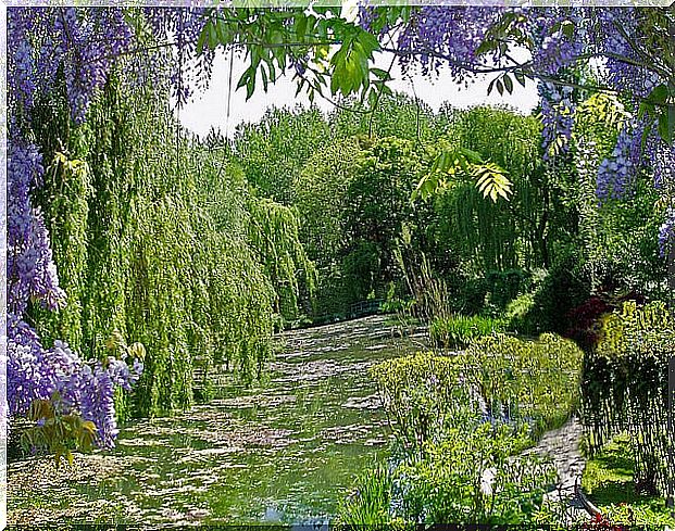 Monet's Garden at Giverny