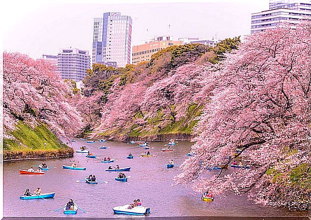 Kitanomaru Park in Tokyo in Spring